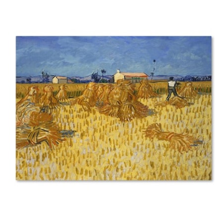 Trademark Fine Art Van Gogh 'Corn Harvest In Provence' Canvas Art, 14x19 AA00884-C1419GG